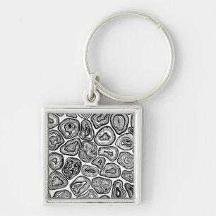Agate slices in black and white key ring