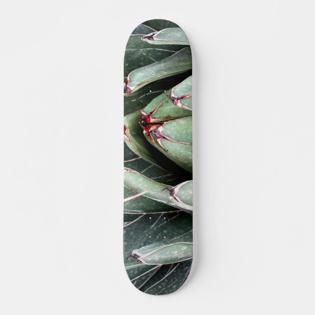 Agave Aloe Vera Plant Photo Skate Skateboard (Front)