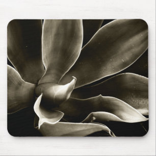 Agave Attenuata in Sepia Mouse Pad