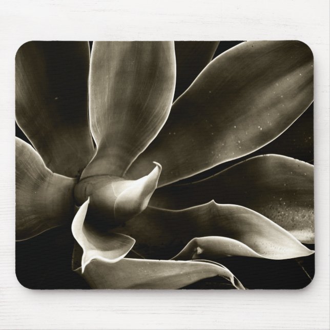 Agave Attenuata in Sepia Mouse Pad (Front)