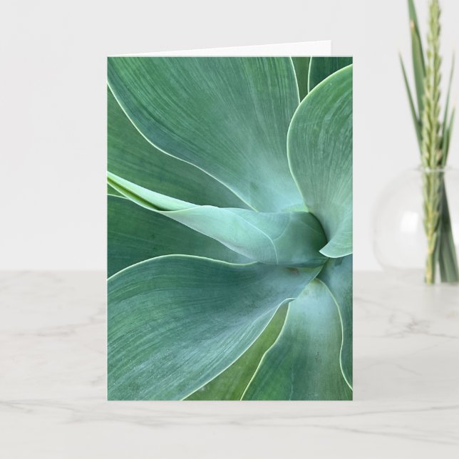 Agave Blank Note Card (Front)