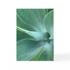 Agave Blank Note Card