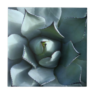 agave blue ceramic tile