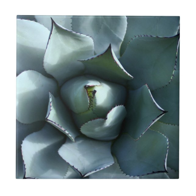 agave blue ceramic tile (Front)