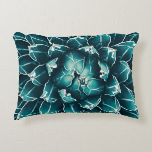 agave cactus,  abstract nature background,  top vi decorative cushion