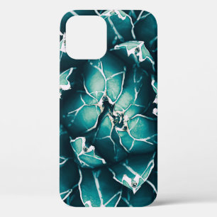 agave cactus, abstract nature background, top view iPhone 12 case