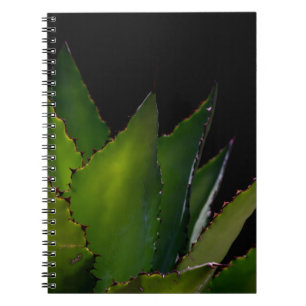 Agave glow notebook