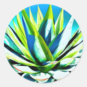 Agave green plant with blue sky  classic round sticker