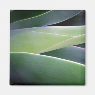 Agave Leaves Magnet
