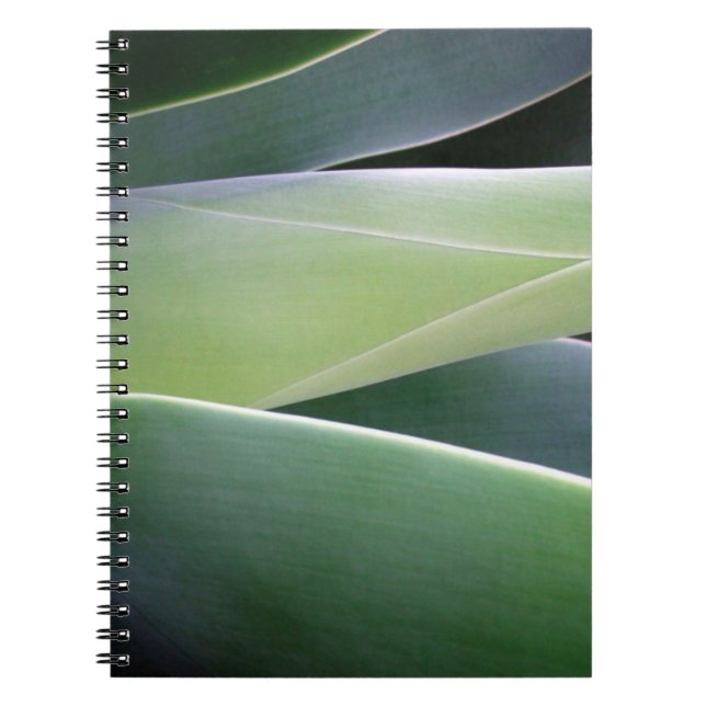 Agave Leaves Notebook (Front)