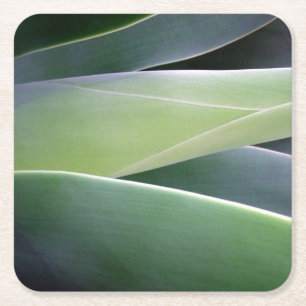 Agave Leaves Square Paper Coaster