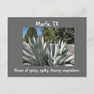 Agave Marfa, Texas Postcard