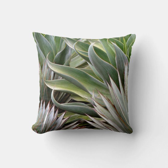 Agave pillow by Debra Lee Baldwin (Front)
