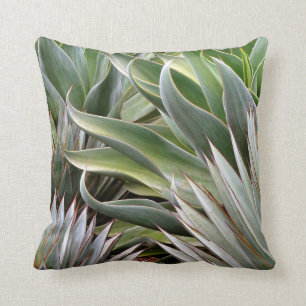Agave pillow by Debra Lee Baldwin