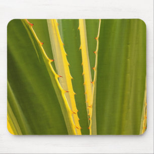 Agave Plant Abstract Mouse Pad