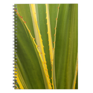 Agave Plant Abstract Notebook