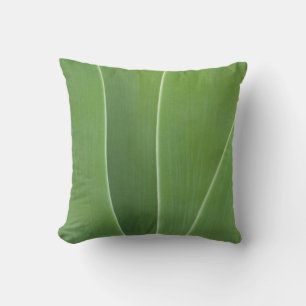Agave Plant Close Up Cushion