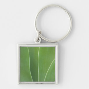 Agave Plant Close Up Key Ring