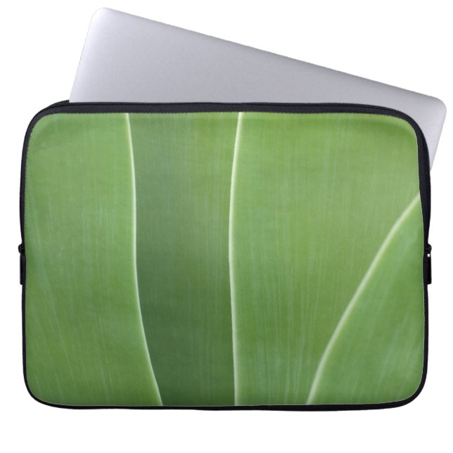 Agave Plant Close Up Laptop Sleeve (Front)