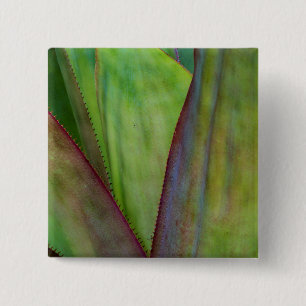 Agave Plant Detail 15 Cm Square Badge