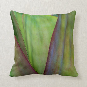 Agave Plant Detail Cushion