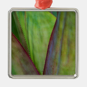 Agave Plant Detail Metal Ornament