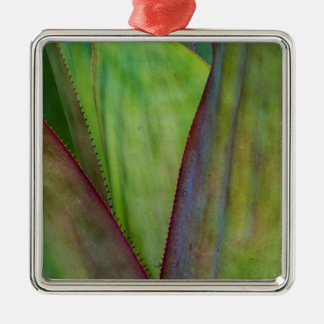 Agave Plant Detail Metal Ornament (Front)