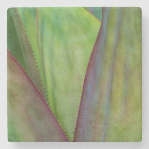 Agave Plant Detail Stone Coaster