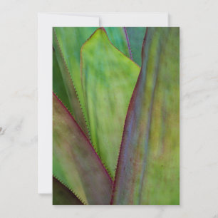 Agave Plant Detail Thank You Card