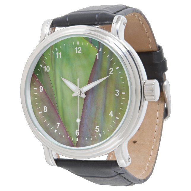 Agave Plant Detail Watch (Angled)