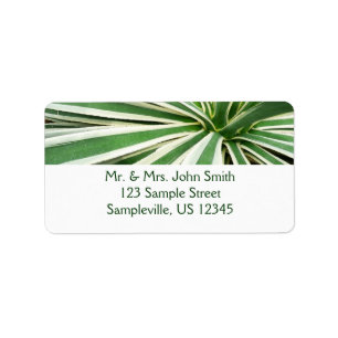 Agave Plant Green and White Striped Label