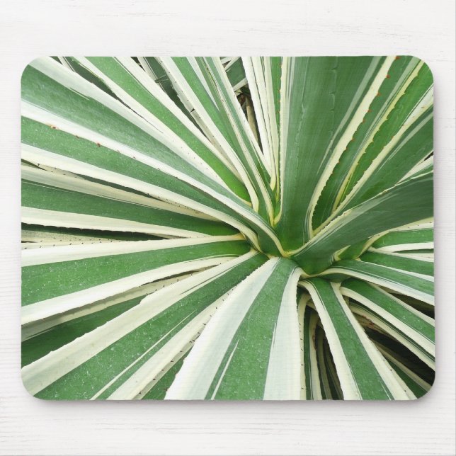 Agave Plant Green and White Striped Mouse Pad (Front)