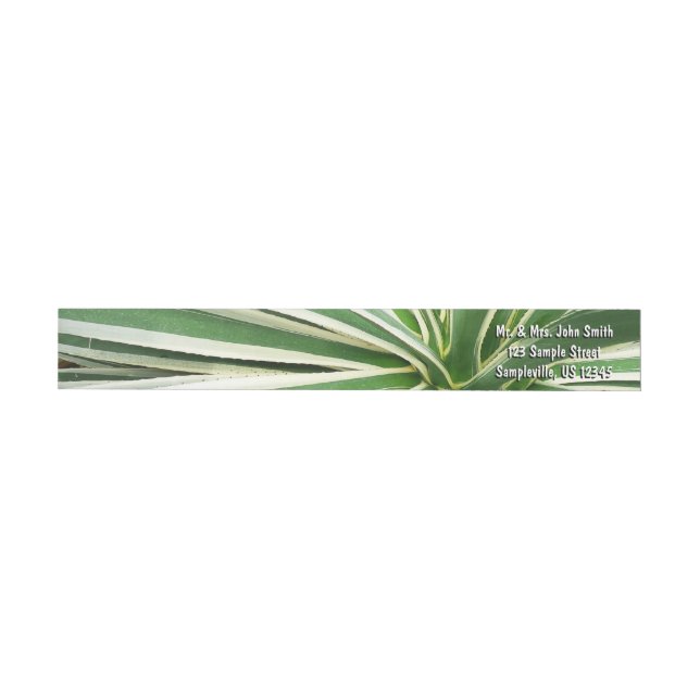 Agave Plant Green and White Striped Wrap Around Label (Individual)