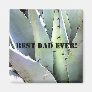 Agave Plant Succulent Blue Cacti Tequila Desert Magnet