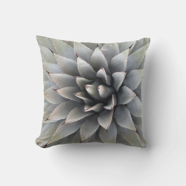 Agave Succulent Plant Cactus Green sage  Cushion (Front)