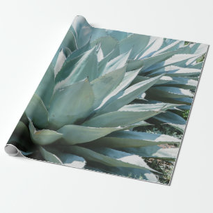 Agave Succulent Plant Cactus Green sage grey Wrapping Paper