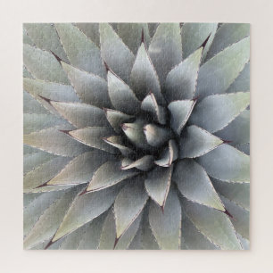 Agave Succulent Plant Cactus Green sage Jigsaw Puzzle