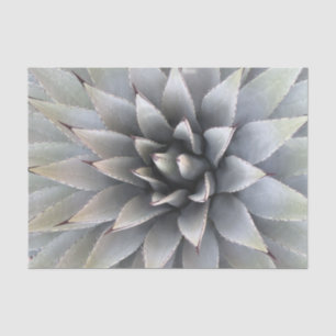 Agave Succulent Plant Cactus Green sage Tissue Paper