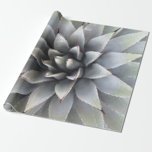 Agave Succulent Plant Cactus Green sage  Wrapping Paper