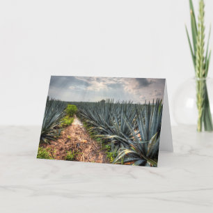 Agave Tequilana Card