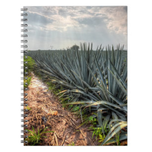 Agave Tequilana Notebook
