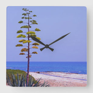 Agave Tree - Square Wall Clock