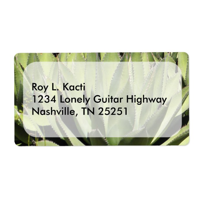 Agave Unique Nature Photograph Art (Front)