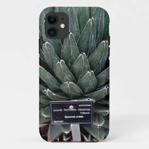 Agave Victoria Photo iPhone SE + iPhone 5/5S iPhone 11 Case
