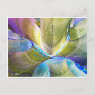 Agavemetall Postcard