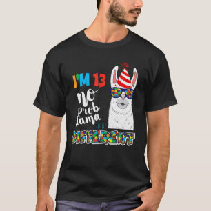 Age 13 Year Old Birth Llama Puzzle April Autism Aw T-Shirt