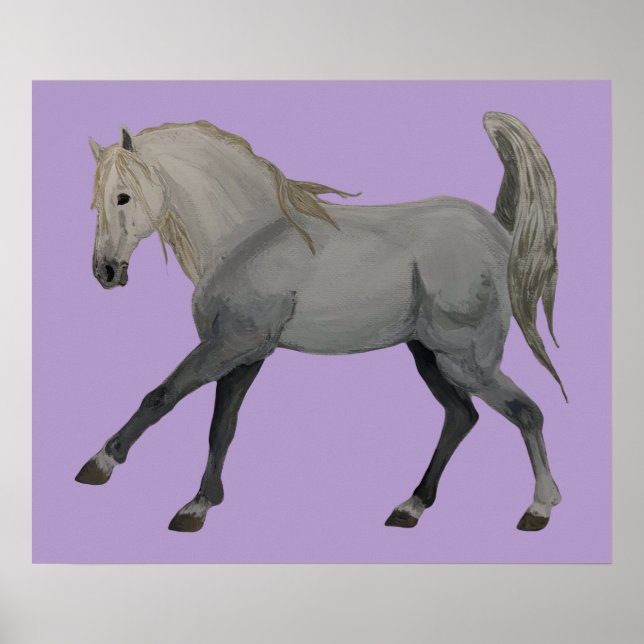 Age of Equestrian  Poster (Front)