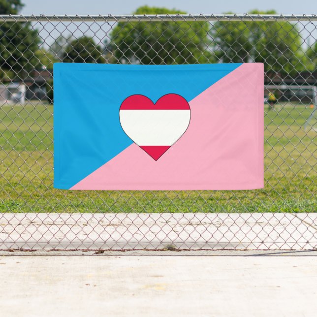 Age Play Pride Flag Banner (Insitu)