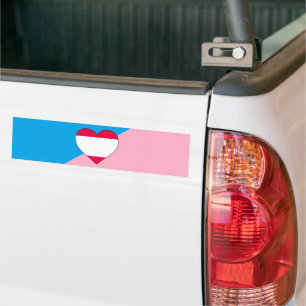 Age Play Pride Flag Bumper Sticker