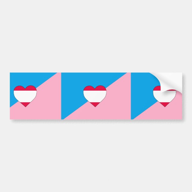 Age Play Pride Flag Bumper Sticker (Front)